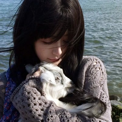 熊猫总动员